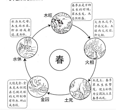 五行旺相休囚死|五行旺相休囚死详解